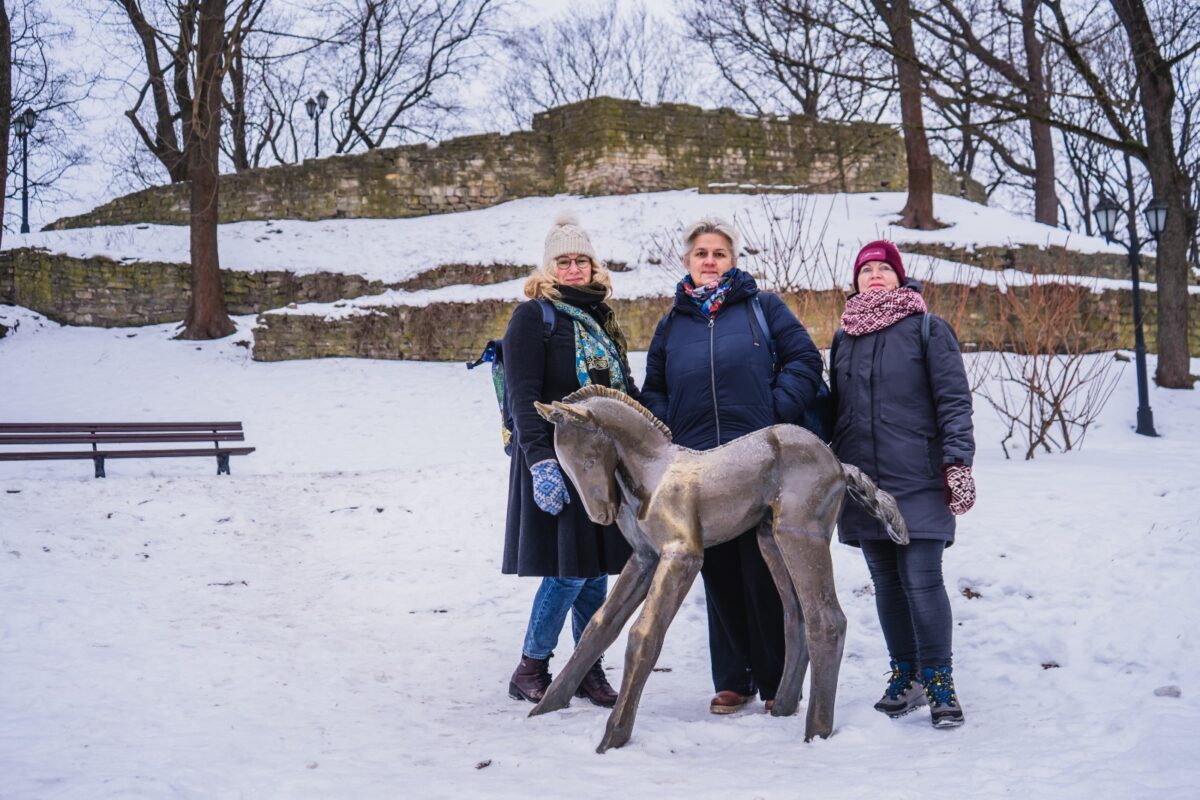 WhatsApp Image 2026-02-11 at 10.53.26 (2)