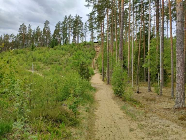 Zvirgzdes kāpa ceļš augšup