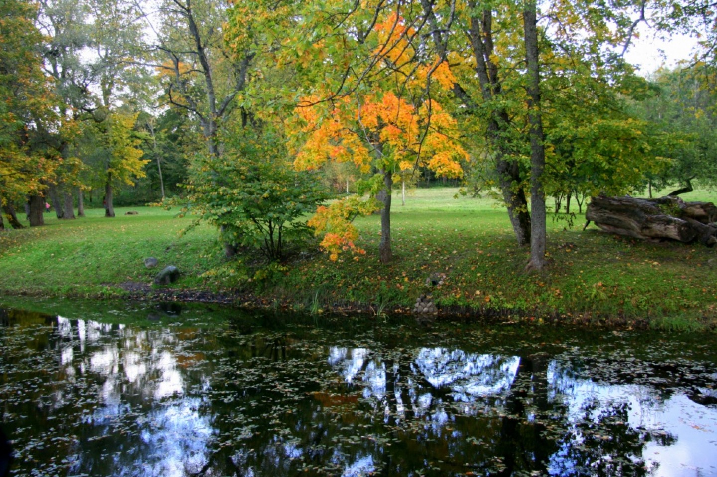 Rudens kraasas_Sigulda