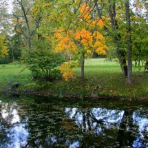 Rudens kraasas_Sigulda